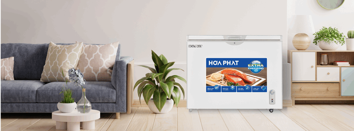 Tủ bảo quản 1 ngăn Hòa Phát 252L HPF-AD6252x